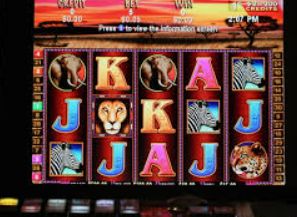 bwin必赢2024最新版